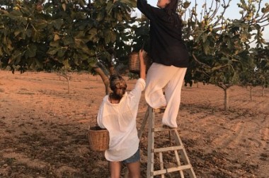 The place with the most varieties of figs in the world.