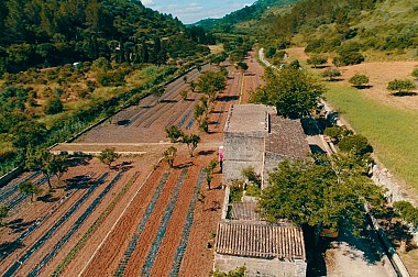 Düfte des Tals: Ökologisches Aufguss-Erlebnis auf Mallorca