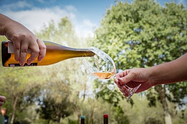 Probieren Sie lokale Weine auf einem hundertjährigen Familienanwesen