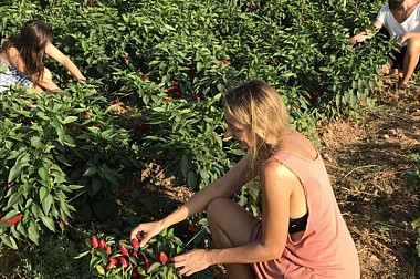 Gastronomía y los Productos típicos de Mallorca