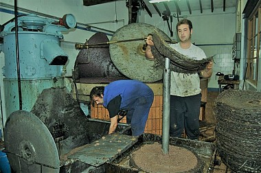 L'oli de tafona sap millor