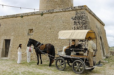 Vive Mallorca como un local: ruta tradicional en carro de caballos por Porreres