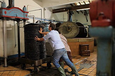 El aceite de tafona sabe mejor